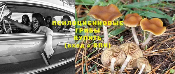 скорость mdpv Зеленокумск